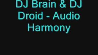 DJ Brain & DJ Droid - Audio Harmony