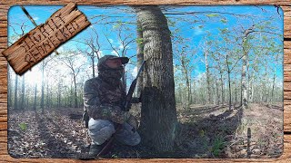 360 Video of My Unsuccessful Turkey Hunt