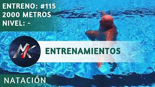 🏊 DIARIO de ENTRENAMIENTOS 📖 Capítulo 115: CARRERA ACUÁTICA-EJERCICIOS de FUERZA 💪 [Entrenamientos]