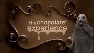 My Chocolate experience