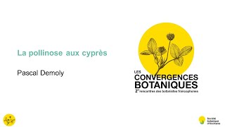 Convergences botaniques 2021 - 11. La pollinose aux cyprès (Pascal Demoly)