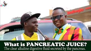 What is Pancreatic Juice? Teacher Mpanire On The Street