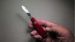 Victorinox Recruit Review