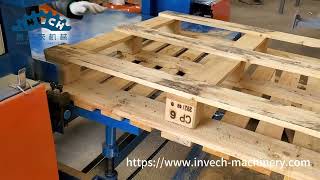 Pallet Dismantler from Invech Machinery