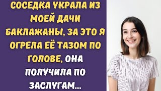 😂Соседка своровала баклажаны из моей дачи, я пошла на разборки...