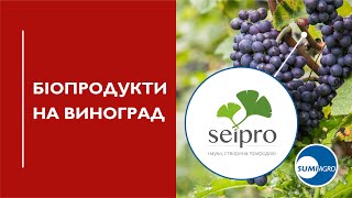 Біопрепарати для отримання якісного врожаю винограду