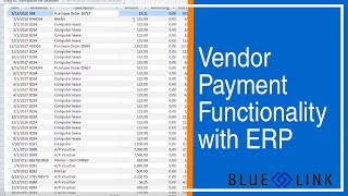 Vendor Payment Functionality with ERP | Blue Link ERP