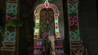 padmavathi alivelu mangapuram temple Tirupati#god #shorts #tirupati