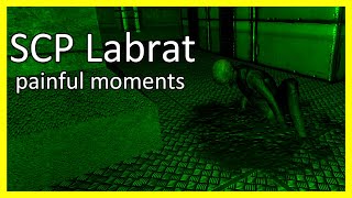 SCP Labrat : pain