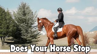 Does Your Horse Stop Or Slow Down When You Sit The Trot?#secretanimals