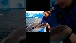 Dolphin Swims to Meet Researchers on the Ship!#DolphinEncounter#MarineLife#OceanAdventure