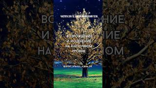 Исцеляющий звук 285 герц | Регенерация и обновление на клеточном уровне | Омоложение #медитация