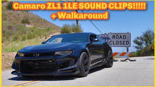 Why YOU need to buy a CAMARO ZL1 1LE