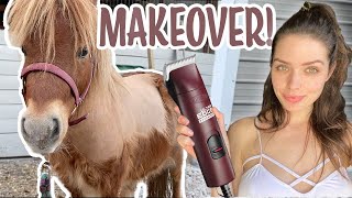 GIVING MY MINI PONY A MAKEOVER! *So Satisfying*