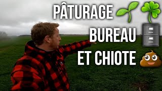 PÂTURAGE, BUREAU ET TOILETTES 💩😂