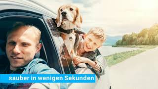 Fussmattenprofi für Hundebesitzer fussmattenprofi.com