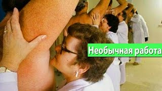 Самые редкие и необычные профессии в мире! Страшно интересно