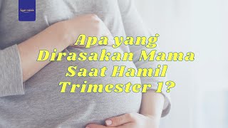 Apa yang Dirasakan Mama Saat Hamil Trimester 1?