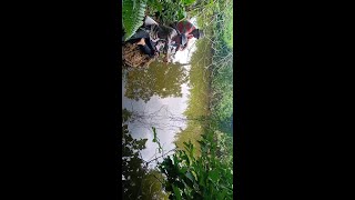 Mancing di kebun mang yadi wakingkung | HOBI LELAKI