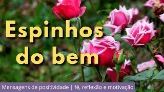 Espinhos do bem - Mensagens de positividade: fé, reflexão e motivação