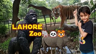 Lahore Zoo 🐘🐼🐯|A Day Out with Nature and Wildlife|#hussainnasir771 #lahorezoo