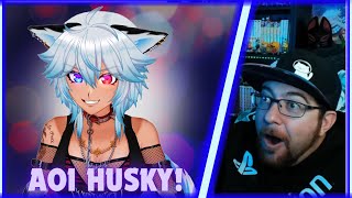 Let's Have Our Own Wild Night! On Tonight's Behind The Vtuber W/ @aoihuskych