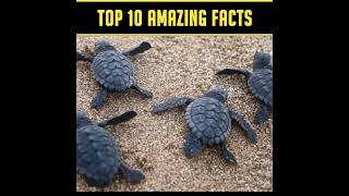 Mind Blowing Weird And Insane Facts About Animals 🪱|Crazy Facts | #shorts #justujufacts