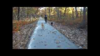 Camping at St  Joe State Park, Missouri, Oct 2012