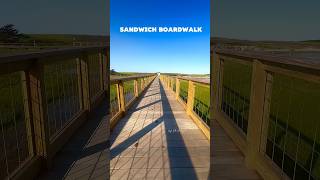 Discover the Sandwich Boardwalk #capecod #beach #nature