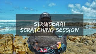 Struisbaai fishing