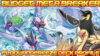 BUDGET META BREAKER ! UNDER $200 Floowandereeze Deck! | Yu-Gi-Oh BOCH FORMAT!