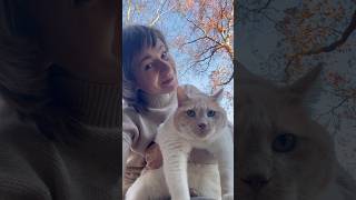 Відео про хорошего мальчика Федю #cat #new #youtube #travel #життя #newyork