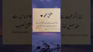 Ishq E Tahjud