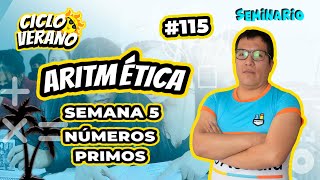 115 - VERANO - SEMINARIO - SEMANA 5 - NÚMEROS PRIMOS - 05/02/2024