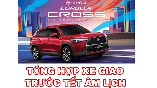 Cập nhật xe Toyota giao sớm trước tết âm lịch|Vios Land Cruiser Rush Hilux Cảmy Cross