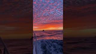 Mexico Sunset Cruise - MUST WATCH #Shorts