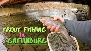 Gatlinburg Trout Fishing