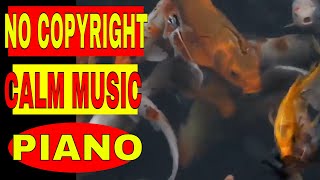 Calm instrumental music no copyright music - calm piano music 10 minutes (no copyright)