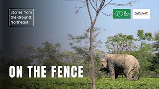 On the Fence |  Stories from the Ground: Northeast India | The Habitats Trust Films