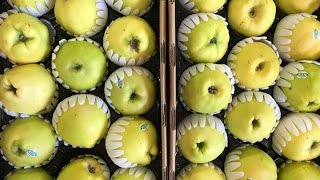 Produce Beat: Quince