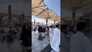 Madina Beautiful  Open Umbrella  View  in  Masjid Nabawi  Saudi Arabia 🇸🇦 #madinahlive  #viralshort