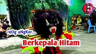 Solah  Reog Angker Kepala Hitam Jagal Tjoper Ponorogo//Tasyakuran Pengantin Baru di Desa Bulu Sambit