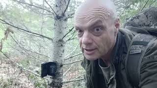 Spring Trail cam visit (Vancouver Island)