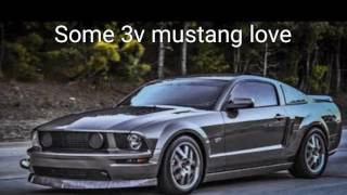 ford mustang 4.6l 3v action & built supercharged 3v saleen mustang camming