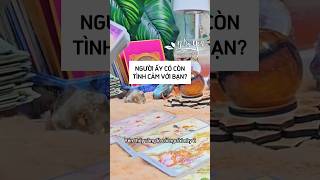 Người ấy có còn tình cảm với bạn không? #tarot #nhãyêntarot #tarotreading