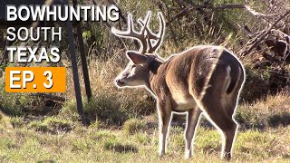 A Couple MATURE BUCKS: Weekend in 5 | South Texas Deer Hunting EP. 3