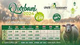 Qurbani 2024 - Share the Blessing of Qurbani with Widows, Orphans & the Needy