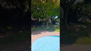 Hamilton gardens pool #Hamilton garden  #shorts