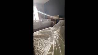 SpringHill Suites by Marriott Richmond North/Glen Allen 2 Double Beds Room Tour