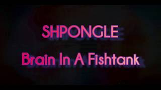 SHPONGLE - A Brain In A Fishtank